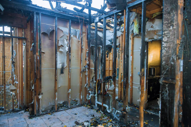 Professional Smoke Damage Removal technician working in Brownlee Park, MI